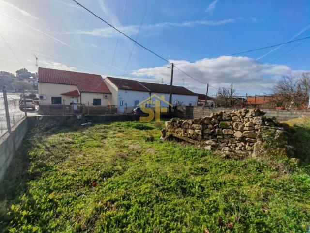 Castelo Branco Castelo Branco 6005 LS99283423
