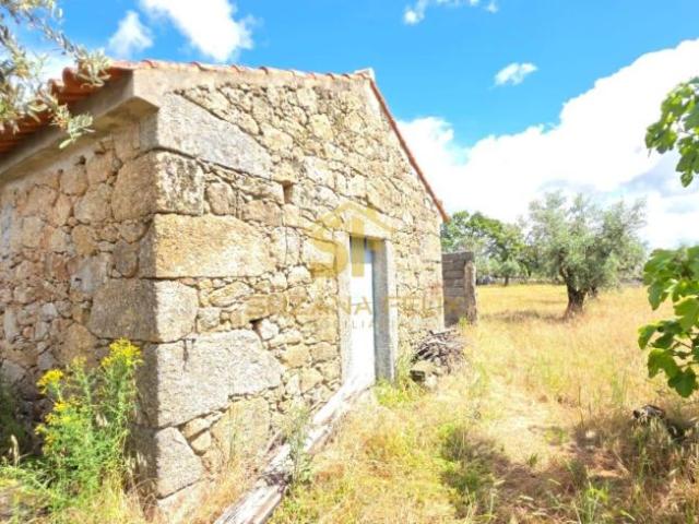Castelo Branco Castelo Branco 6005 102468748