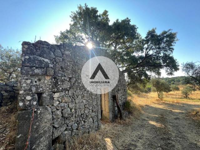 Castelo Branco Castelo Branco 6005 104433884
