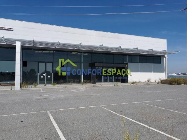 Castelo Branco Castelo Branco 6000 LS96465451
