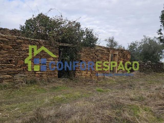 Castelo Branco Castelo Branco 6000 LS97024680