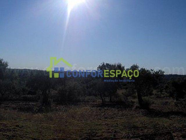 Castelo Branco Castelo Branco 6000 LS97226470