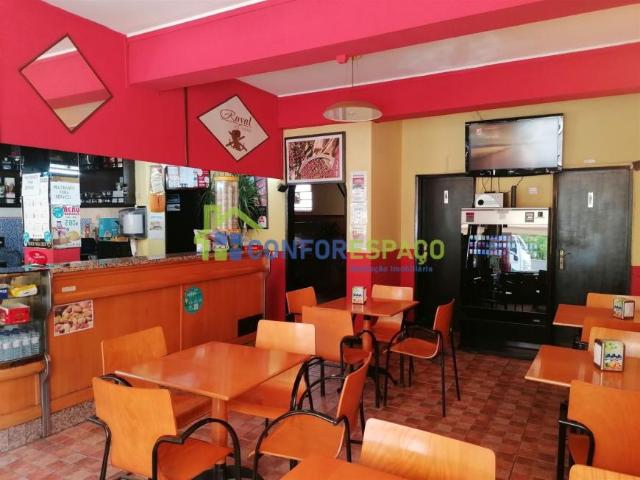 Castelo Branco Castelo Branco 6000 LS98671885
