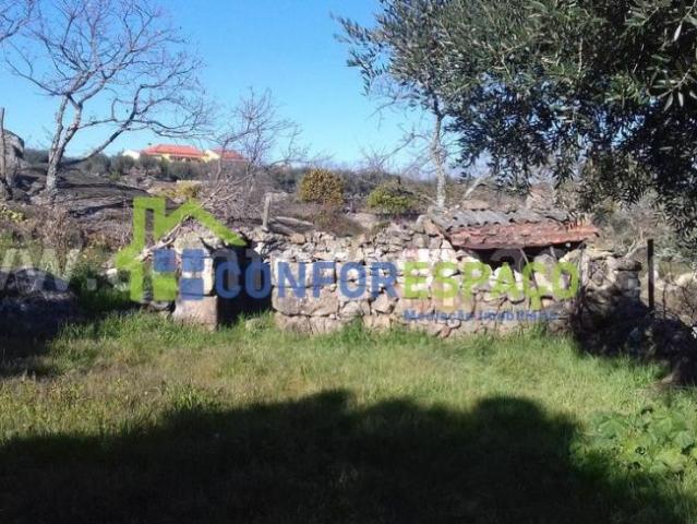 Castelo Branco Castelo Branco 6000 LS98093645