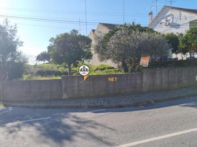 Castelo Branco Castelo Branco 6000 LS98330040