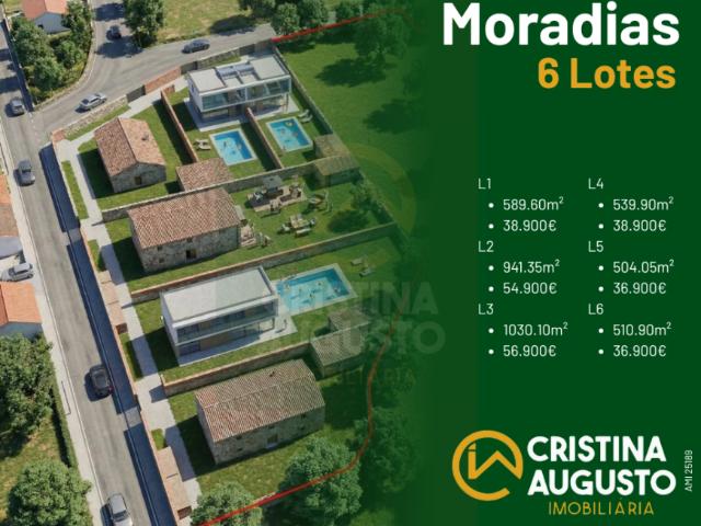 Castelo Branco Castelo Branco 6000 LS98394598