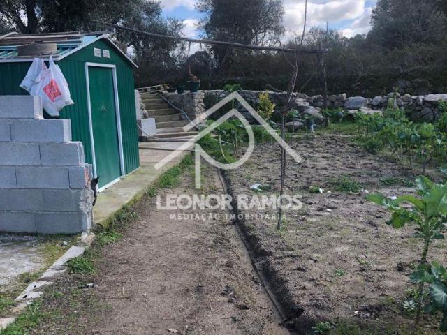 Castelo Branco Castelo Branco 6000 LS99825465