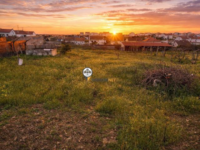 Castelo Branco Castelo Branco 6000 LS99934157