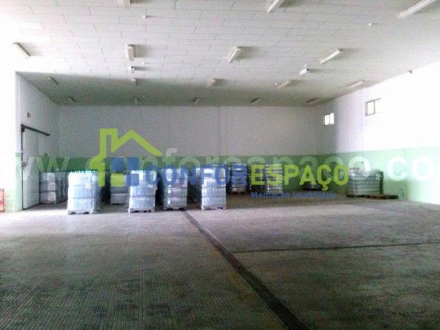 Castelo Branco Castelo Branco 6000 103322380