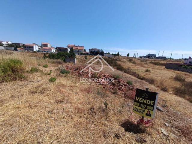 Castelo Branco Castelo Branco 6000 104972453