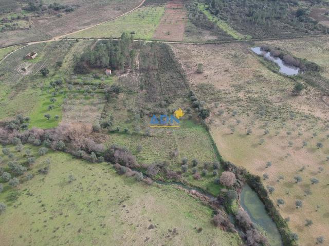 Castelo Branco Castelo Branco 62514386