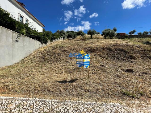 Castelo Branco Castelo Branco 62514309