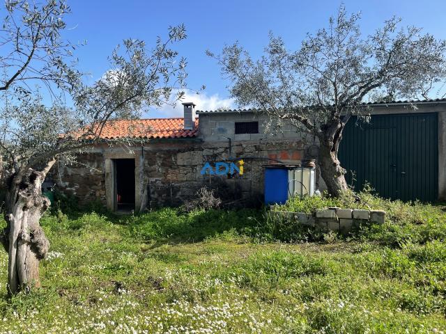 Castelo Branco Castelo Branco 62514322