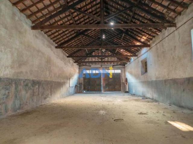 Castelo Branco Castelo Branco 62514401