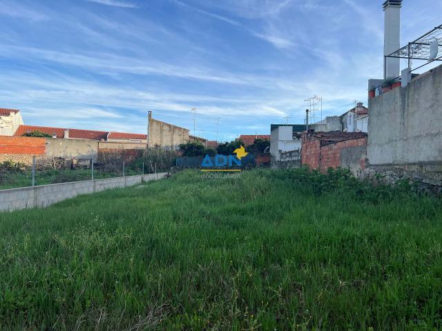 Castelo Branco Castelo Branco 73705443