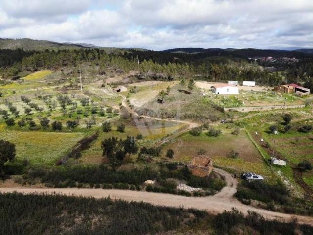 Castelo Branco Castelo Branco 78384692