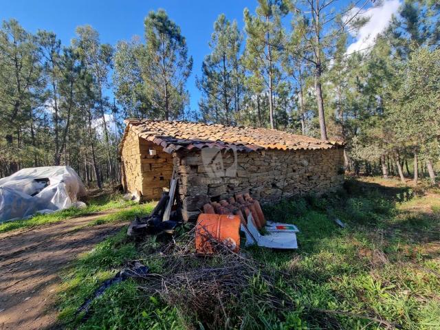 Castelo Branco Castelo Branco 78384694