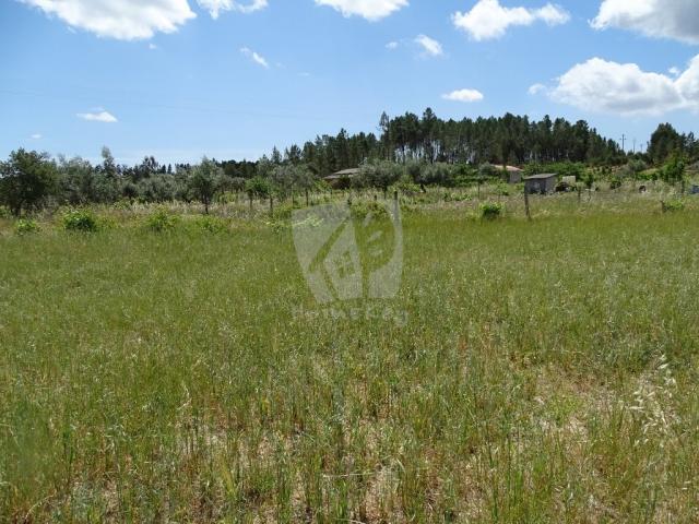 Castelo Branco Castelo Branco 78384750