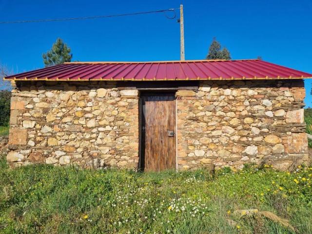 Castelo Branco Castelo Branco 78384708