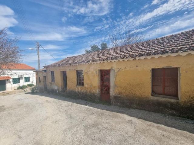 Castelo Branco Castelo Branco 78384714