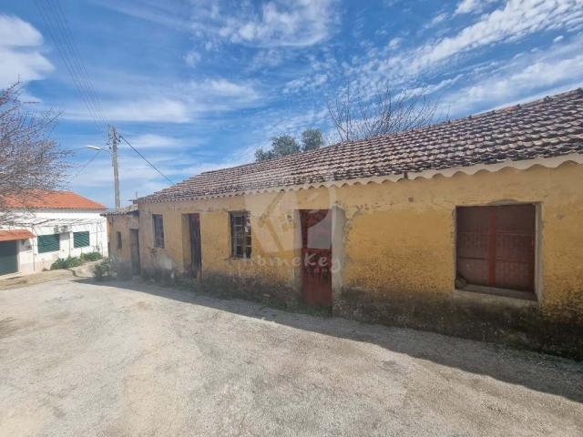 Castelo Branco Castelo Branco 78384714