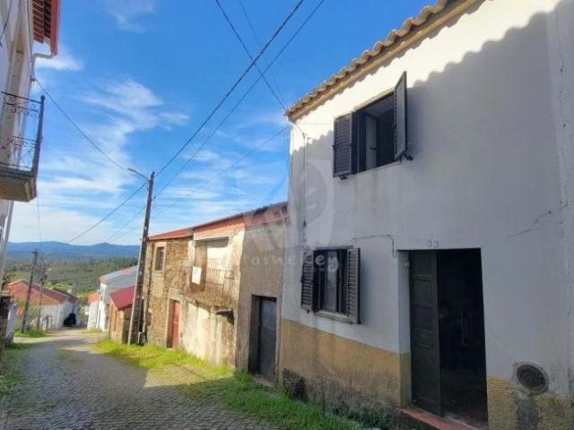 Castelo Branco Castelo Branco 78384716