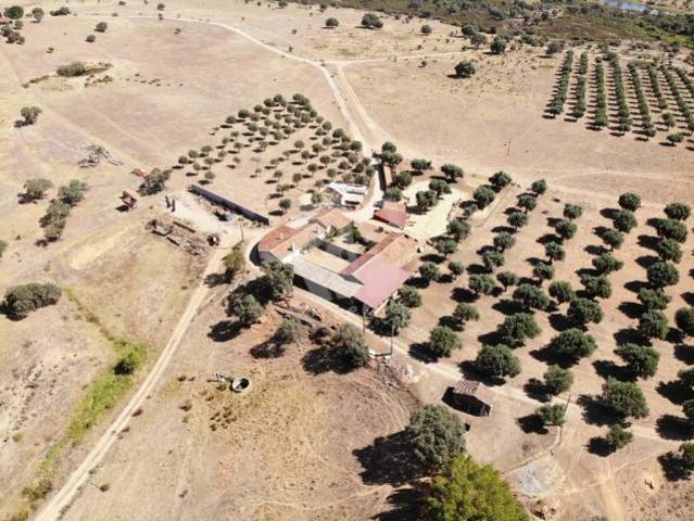 Castelo Branco Castelo Branco 78384728