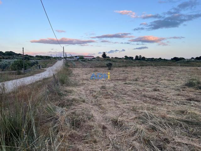 Castelo Branco Castelo Branco 80229649