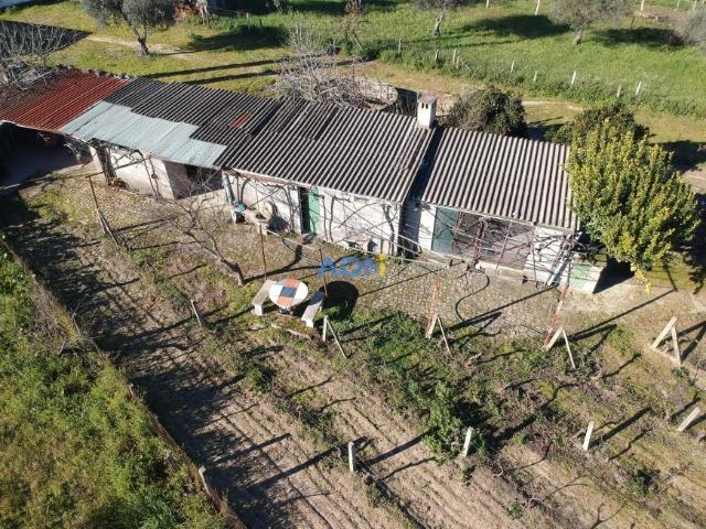 Castelo Branco Castelo Branco 80229667