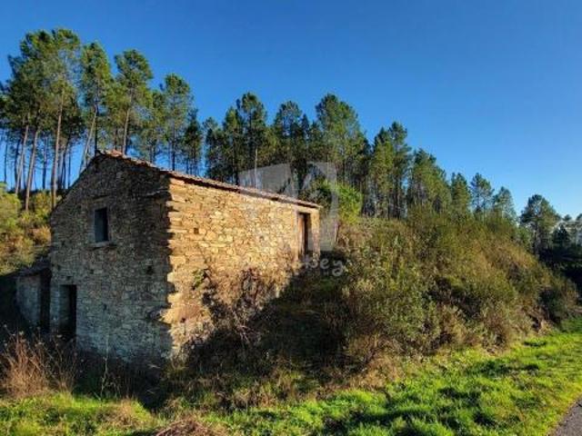 Castelo Branco Castelo Branco 85355004