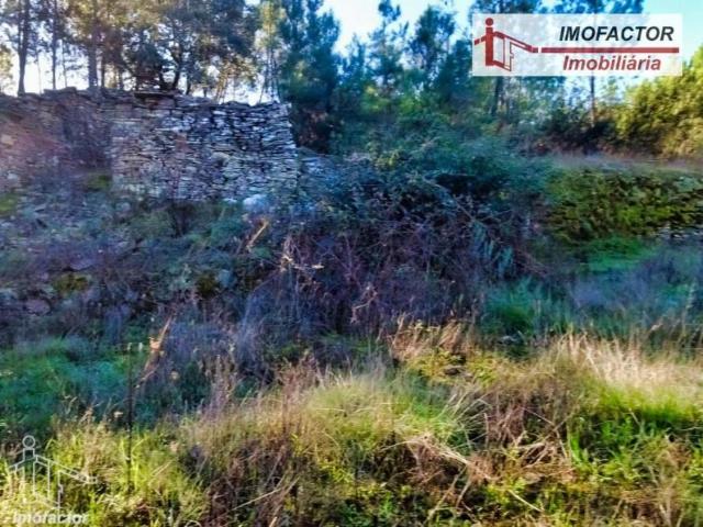 Castelo Branco Castelo Branco 85622672