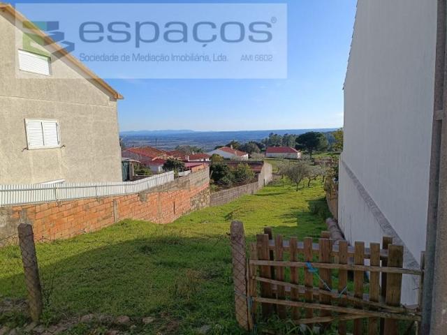 Castelo Branco Castelo Branco 87697776