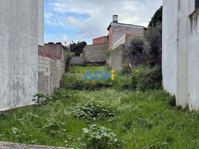Castelo Branco Castelo Branco 88633107