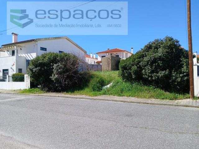 Castelo Branco Castelo Branco 88954197