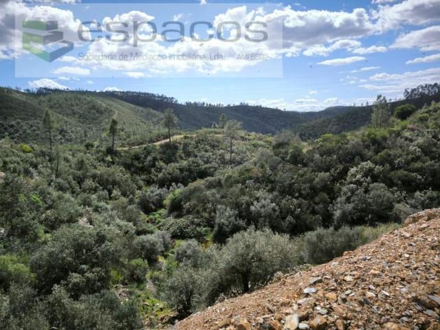 Castelo Branco Castelo Branco 89074303