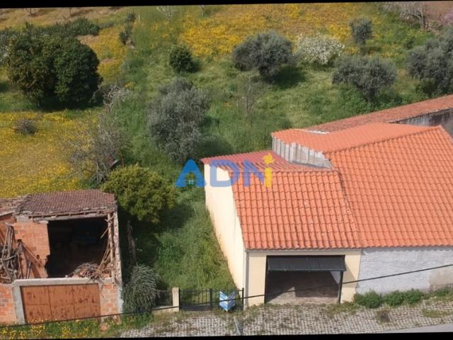 Castelo Branco Castelo Branco 89598460