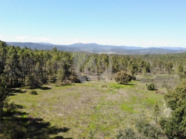 Castelo Branco Castelo Branco 89905161