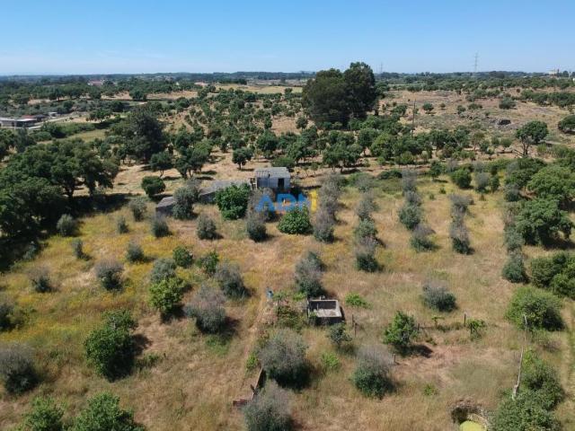 Castelo Branco Castelo Branco 90975253