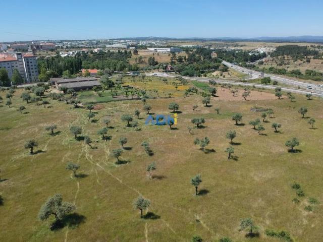 Castelo Branco Castelo Branco 90931887