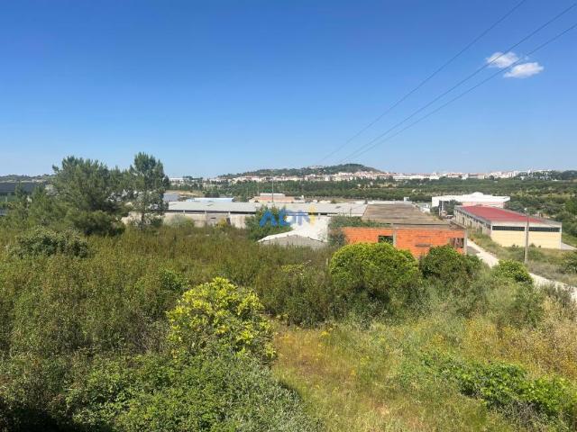Castelo Branco Castelo Branco 91756900