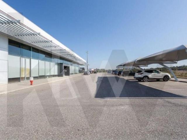 Castelo Branco Castelo Branco 92030370