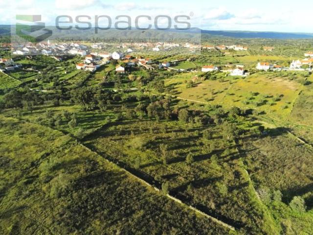Castelo Branco Castelo Branco 92179746