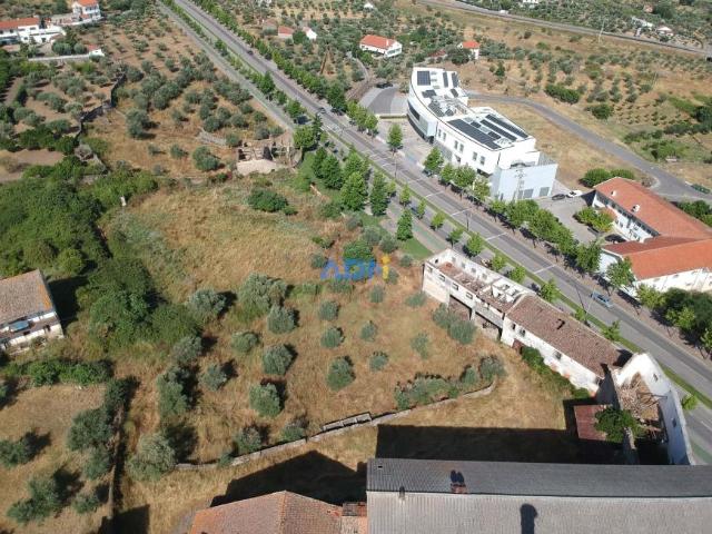 Castelo Branco Castelo Branco 92274202