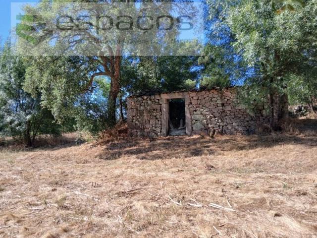 Castelo Branco Castelo Branco 92578632