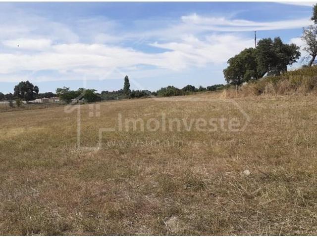 Castelo Branco Castelo Branco 95150303