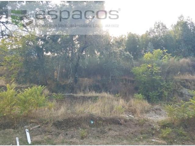 Castelo Branco Castelo Branco 95594489