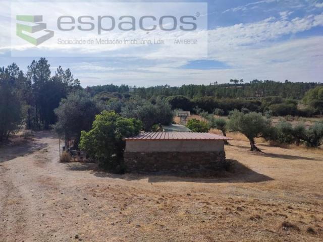 Castelo Branco Castelo Branco 96393964