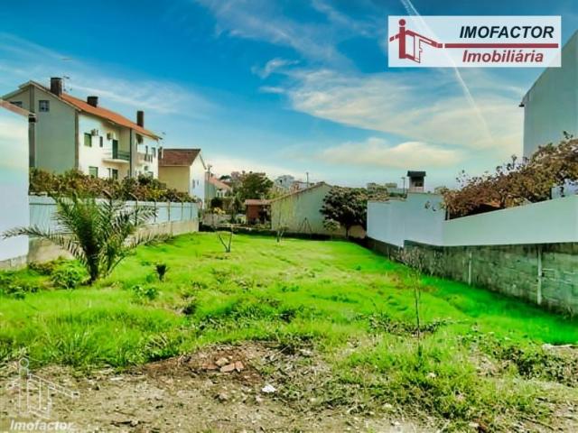 Castelo Branco Castelo Branco 96619129