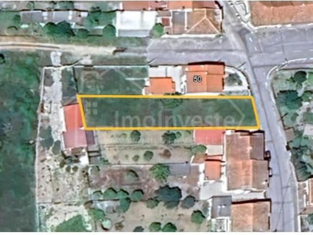 Castelo Branco Castelo Branco 97118703