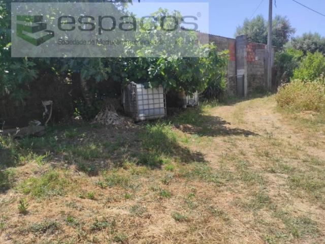 Castelo Branco Castelo Branco 97120201